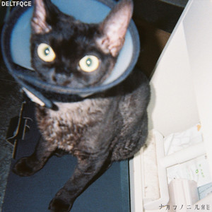 国产精品乱伦视频
